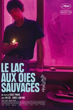 Le Lac aux oies sauvages (2019)